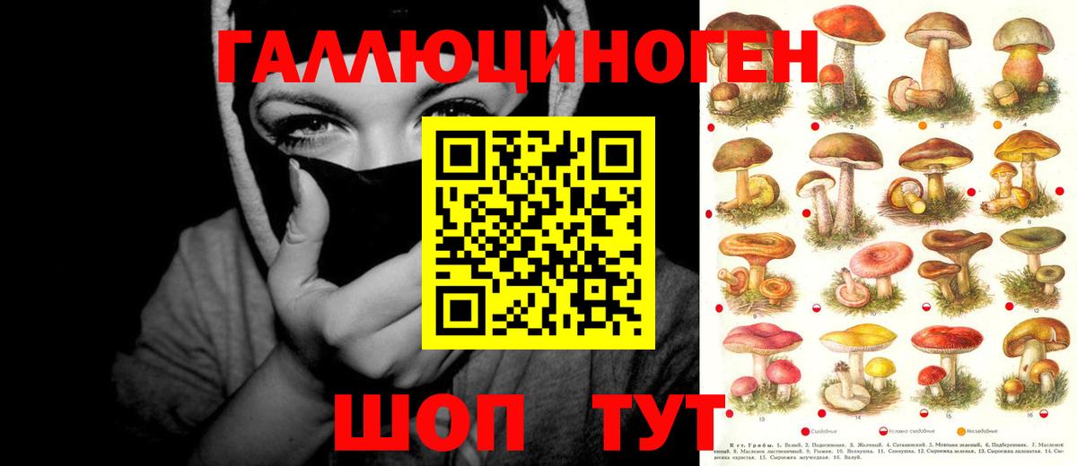 что такое наркотик  Вход с VPN  Химки  Галлюциногенные грибы GOLDEN TEACHER 